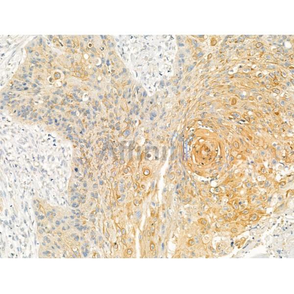 Валидация Affinity DF13332 - 8513