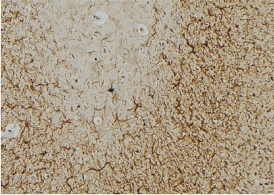 Валидация Affinity DF7754 - 19563