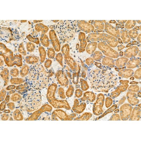 Валидация Affinity DF6897 - 18493