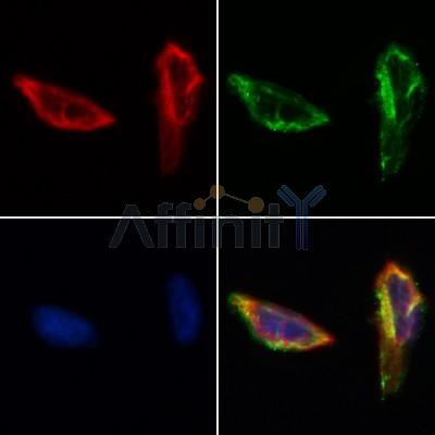 Валидация Affinity AF5168 - 2586