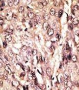 Валидация AssayVector ARM2631(4860)