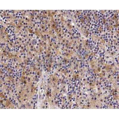 Валидация Affinity DF7691 - 19473