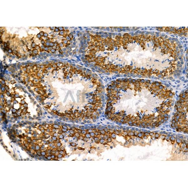 Валидация Affinity DF4098 - 15384