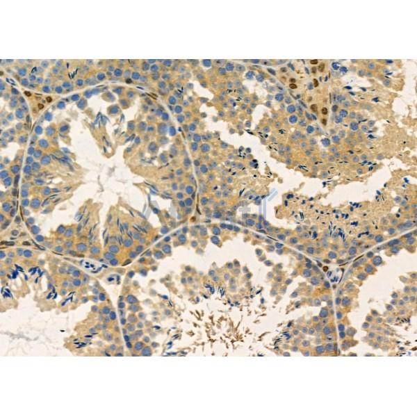 Валидация Affinity DF4789 - 16521