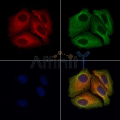 Валидация Affinity DF13383 - 8638