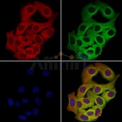 Валидация Affinity DF13314 - 8474