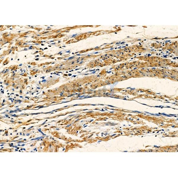 Валидация Affinity DF7719 - 19511