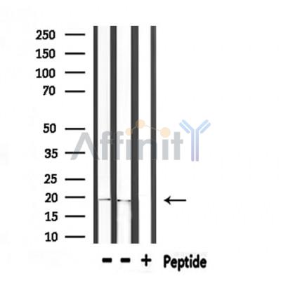 Валидация Affinity DF6916 - 18516