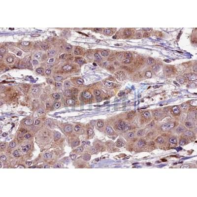 Валидация Affinity DF2980 - 13722