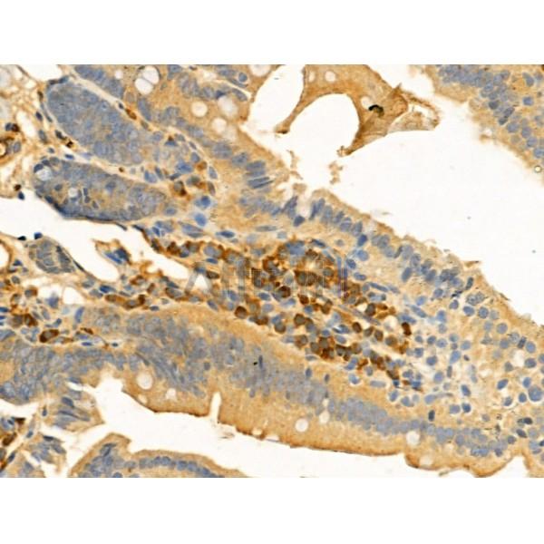 Валидация Affinity DF13080 - 7955