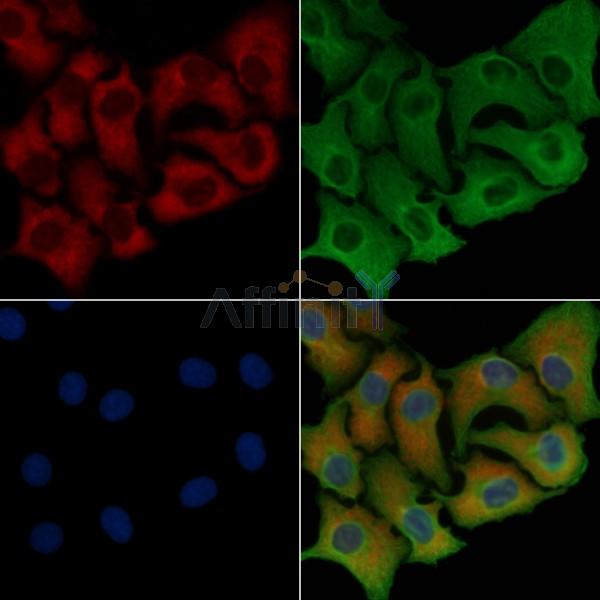 Валидация Affinity DF5176 - 17154