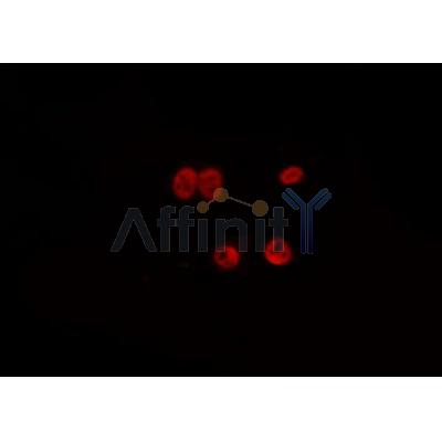 Валидация Affinity DF7238 - 18890