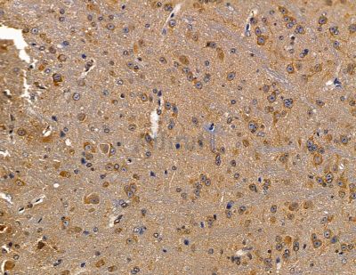 Валидация Affinity DF13847 - 9553