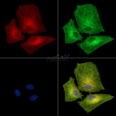 Валидация Affinity DF14143 - 9946