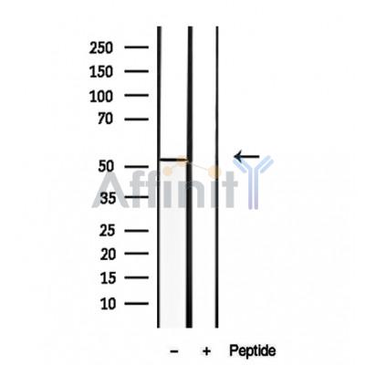 Валидация Affinity DF12247 - 6563