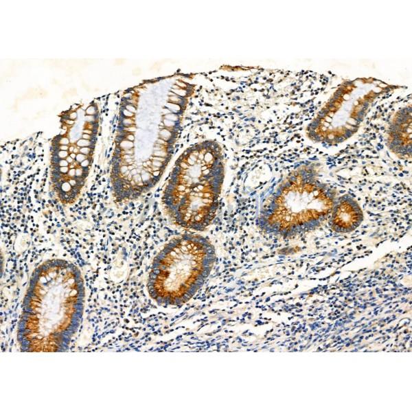 Валидация Affinity DF9640 - 22374