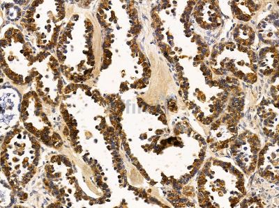 Валидация Affinity DF14529 - 10524