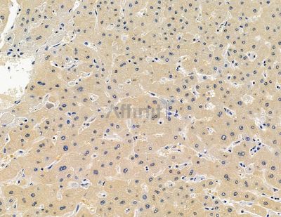 Валидация Affinity DF15937 - 12449