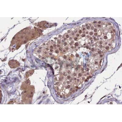 Валидация Affinity DF7601 - 19372