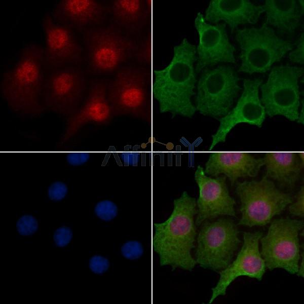 Валидация Affinity AF7679 - 4363