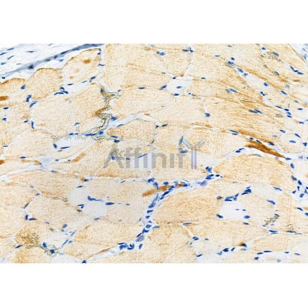 Валидация Affinity DF9626 - 22347