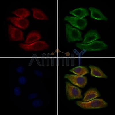 Валидация Affinity DF7393 - 19125