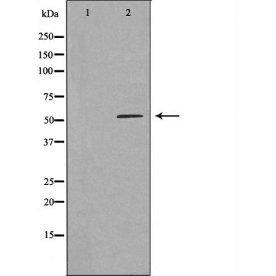 Валидация Affinity DF4840 - 16607