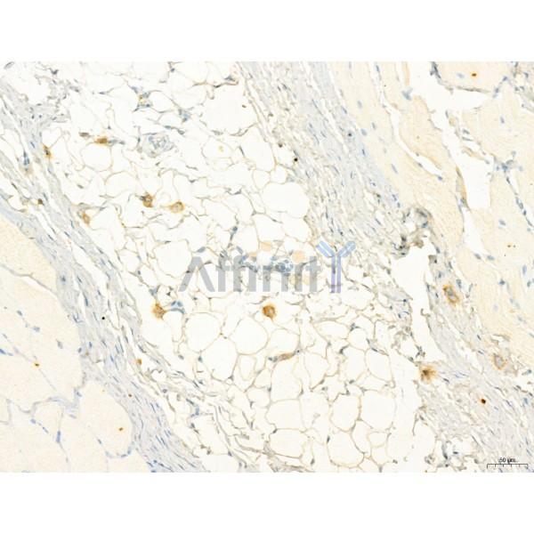 Валидация Affinity DF2789 - 13530