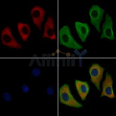 Валидация Affinity AF6261 - 3513