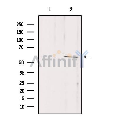 Валидация Affinity DF4183 - 15531
