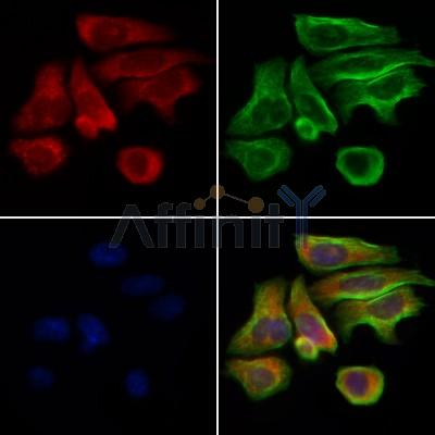 Валидация Affinity DF6346 - 17689