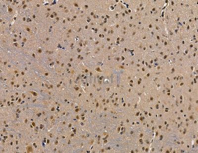 Валидация Affinity DF13848 - 9555