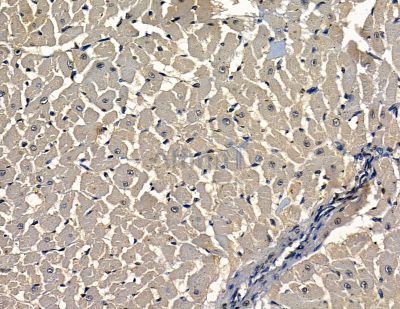 Валидация Affinity DF16001 - 12544