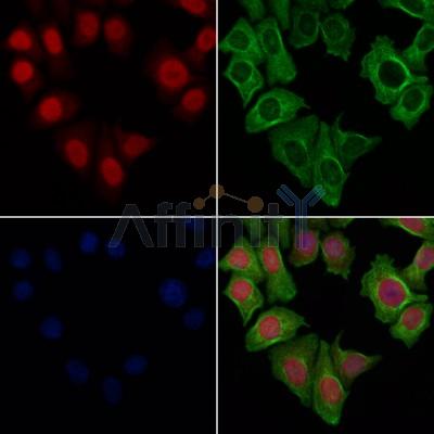 Валидация Affinity DF4482 - 16019