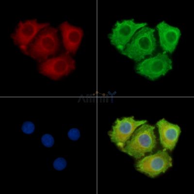 Валидация Affinity DF15099 - 11344