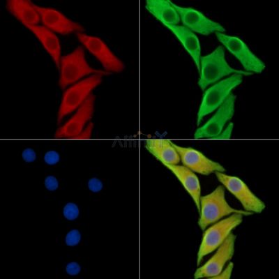 Валидация Affinity DF16102 - 12680