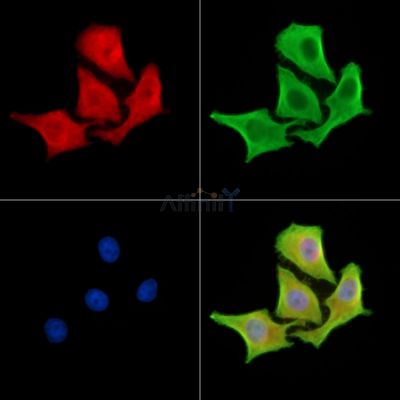 Валидация Affinity DF13858 - 9572