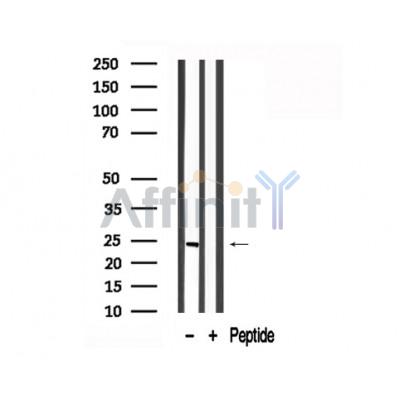 Валидация Affinity AF7722 - 4416