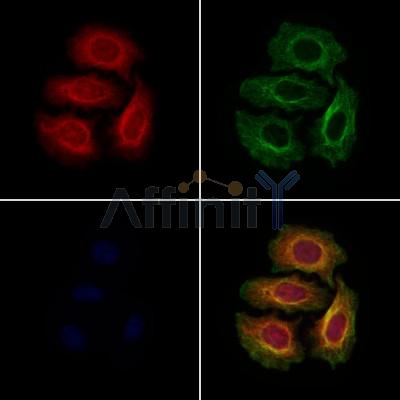 Валидация Affinity DF9667 - 22426