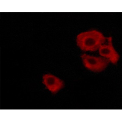 Валидация Affinity AF3488 - 2016