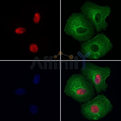 Валидация Affinity DF12542 - 7147