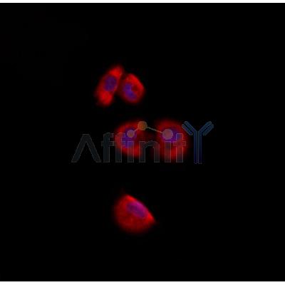 Валидация Affinity AF9185 - 5009