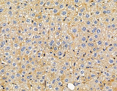 Валидация Affinity DF13914 - 9650