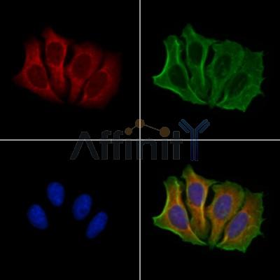 Валидация Affinity DF13193 - 8186