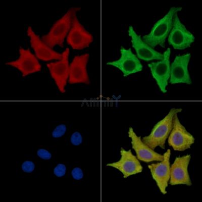 Валидация Affinity DF15319 - 11626