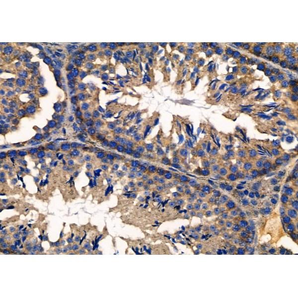 Валидация Affinity DF7559 - 19310