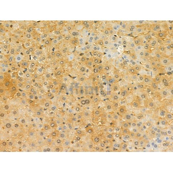 Валидация Affinity DF4691 - 16367