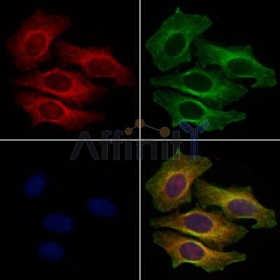 Валидация Affinity DF7288 - 18965