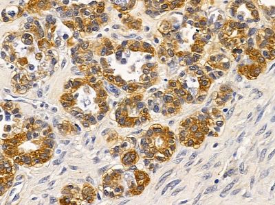 Валидация Affinity DF2254 - 12799