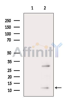 Валидация Affinity DF9035 - 21276